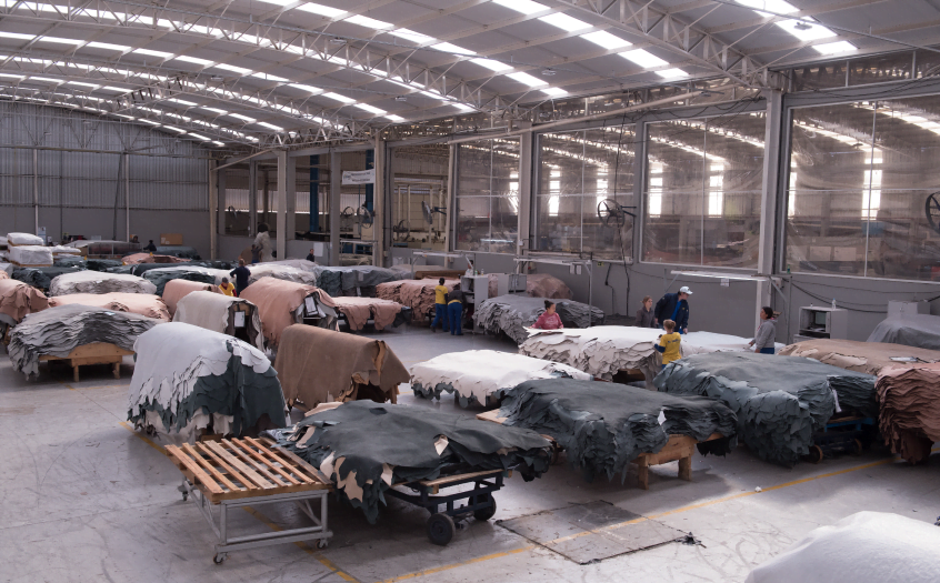 BIO-LEATHER Durli - Inovação na indústria do couro