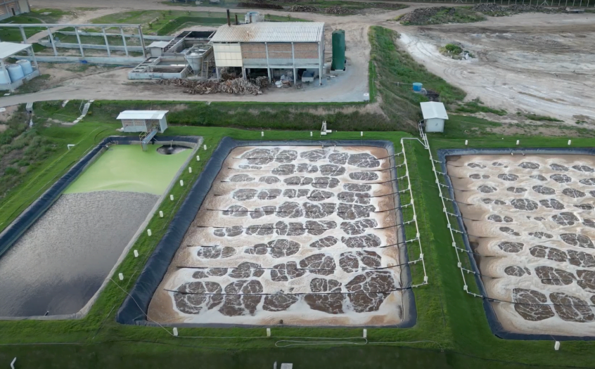 tratamento de efluentes couro natural x couro sintético