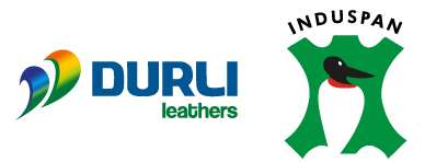 Logo Durli Induspan