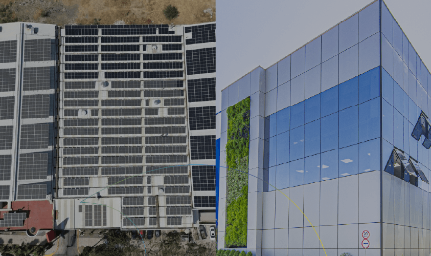 qualidade e classificação do couro