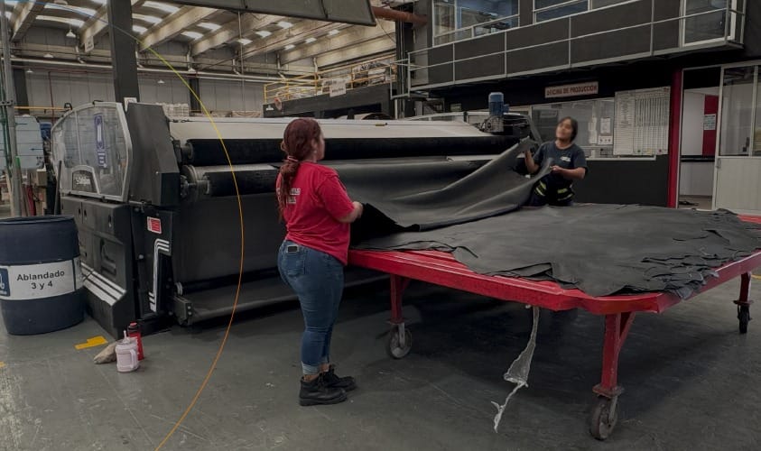 fornecedor global de couro